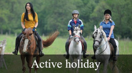 /article/active--holiday.html